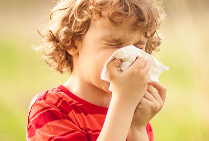 Na zdrowie, czyli wszystko to, co powinieneś wiedzieć o alergicznym nieżycie nosa