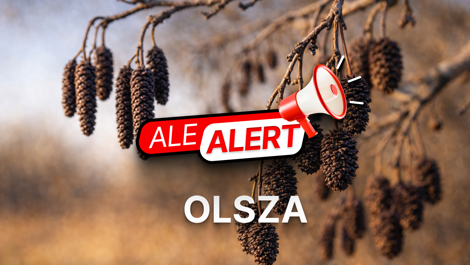 Alert pyłkowy – nasilenie pylenia olszy w marcu