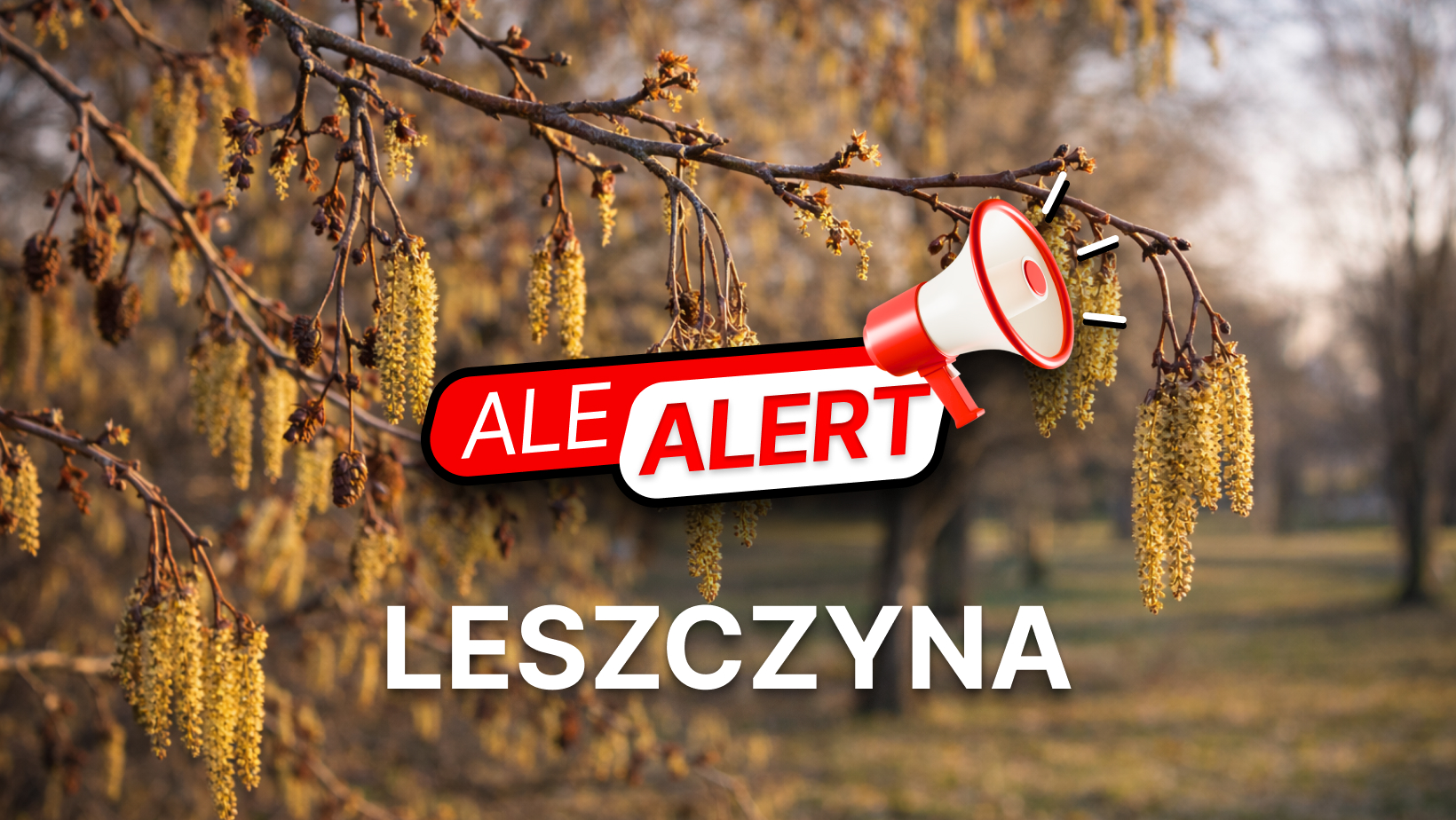 Alert pyłkowy – pylenie leszczyny w marcu